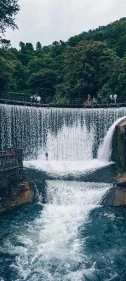 Белый Лотос Gagra Bagian luar foto